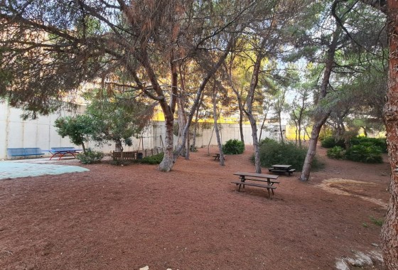 Venta - Apartamento / Piso -
Orihuela Costa - Campoamor