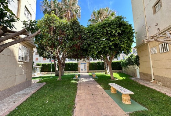 Herverkoop - Appartement / Flat -
Torrevieja