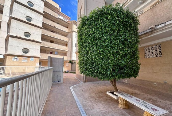 Herverkoop - Appartement / Flat -
Torrevieja