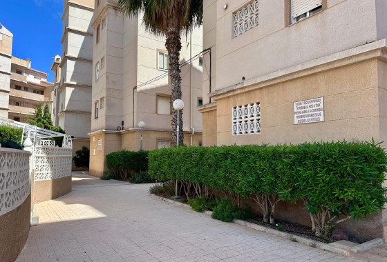 Herverkoop - Appartement / Flat -
Torrevieja