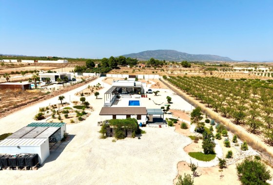 Resale - Detached Villa -
Pinoso