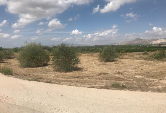 Venta - Parcela / Terreno -
Benferri