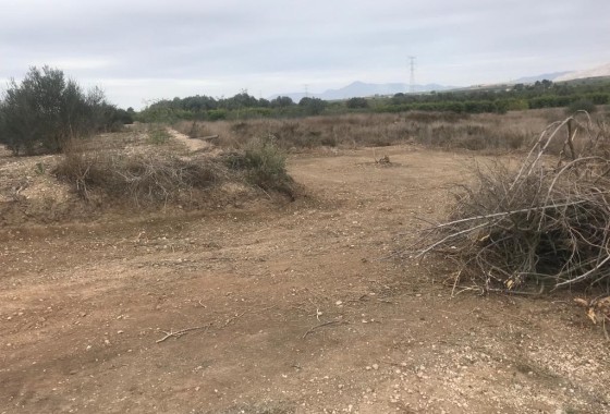 Venta - Parcela / Terreno -
Benferri