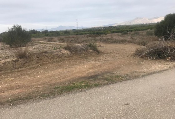 Venta - Parcela / Terreno -
Benferri