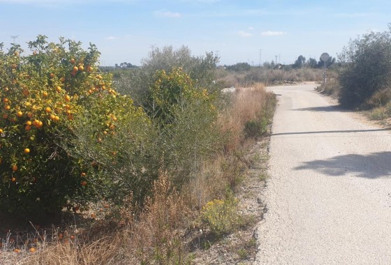 Venta - Parcela / Terreno -
Benferri