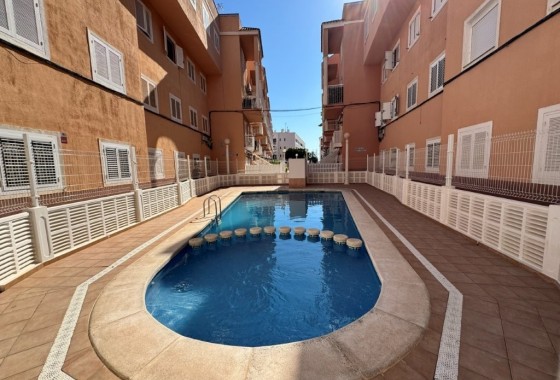 Resale - Apartment / Flat -
La Mata