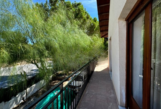 Revente - Finca / Propriété rurale -
Monóvar