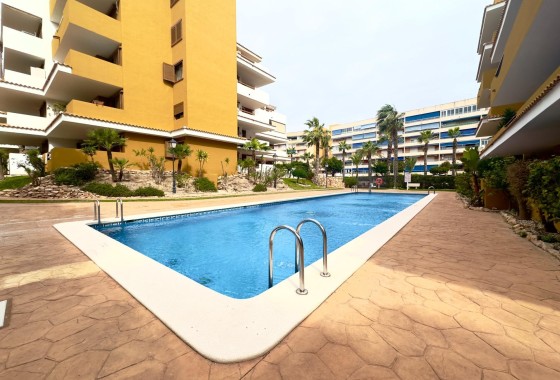 Revente - Appartement -
Torrevieja - Punta Prima