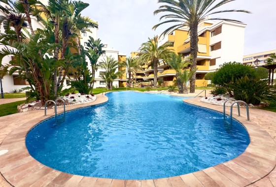 Revente - Appartement -
Torrevieja - Punta Prima