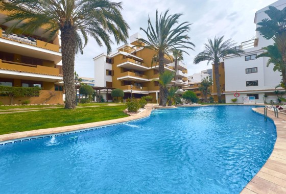 Revente - Appartement -
Torrevieja - Punta Prima