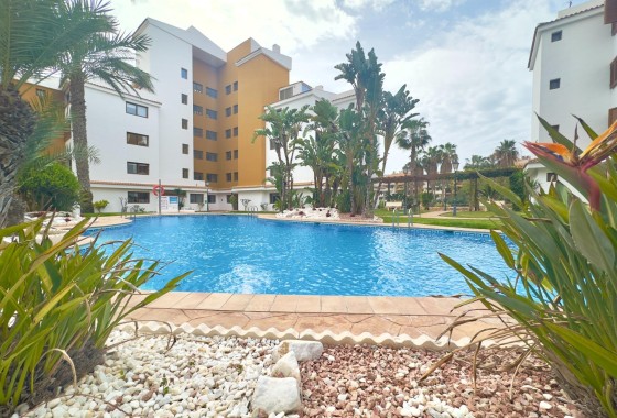 Revente - Appartement -
Torrevieja - Punta Prima