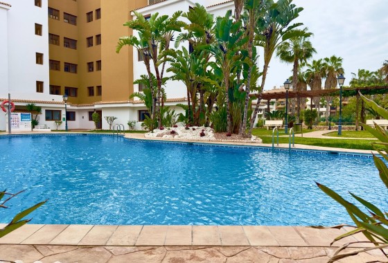 Revente - Appartement -
Torrevieja - Punta Prima