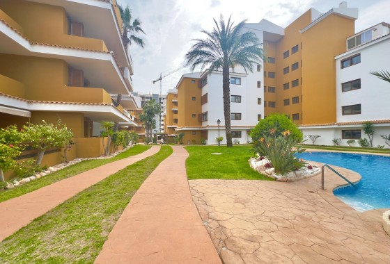 Revente - Appartement -
Torrevieja - Punta Prima