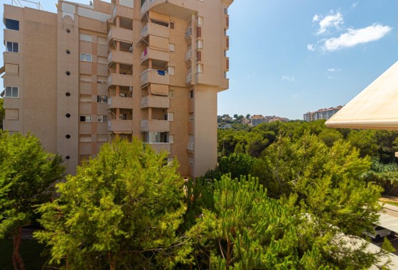 Venta - Apartamento / Piso -
Orihuela Costa - Campoamor