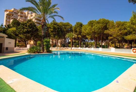Venta - Apartamento / Piso -
Orihuela Costa - Campoamor