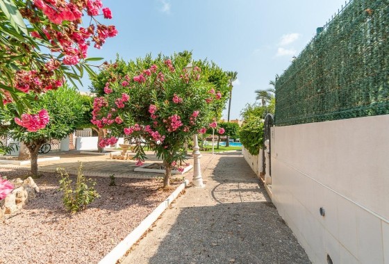 Herverkoop - Appartement / Flat -
Torrevieja - Torreblanca