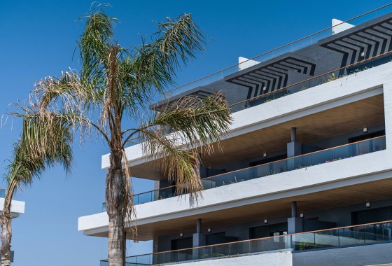 New Build - Wohnung / Apartment -
﻿Torrevieja (Alicante) - Spain