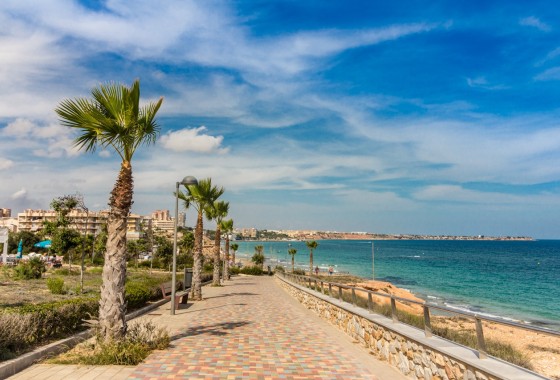 Resale - Apartment / Flat -
Mil Palmeras - Riomar