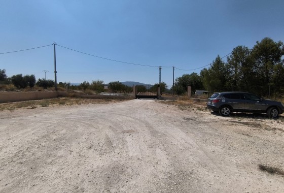 Venta - Chalet Independiente -
Pinoso