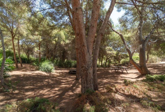 Herverkoop - Appartement / Flat -
Orihuela Costa - Altos de Campoamor