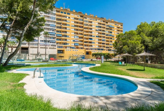 Herverkoop - Appartement / Flat -
Orihuela Costa - Altos de Campoamor