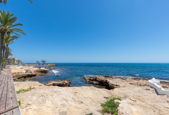 Wiederverkauf - Wohnung / Apartment -
Torrevieja - Paseo Maritimo