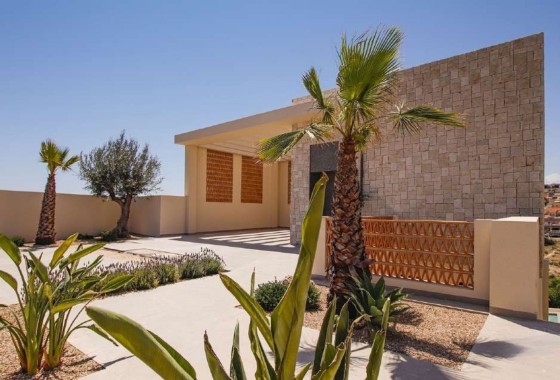 New Build - Detached Villa -
La Marina