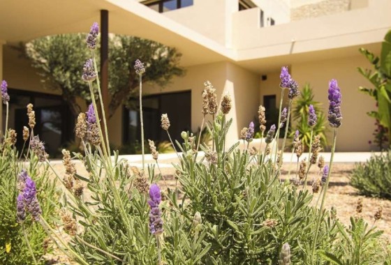 New Build - Detached Villa -
La Marina