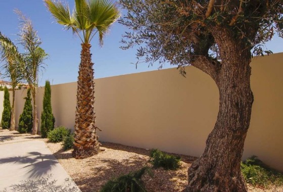 New Build - Detached Villa -
La Marina
