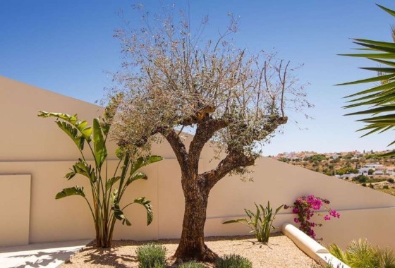 New Build - Detached Villa -
La Marina