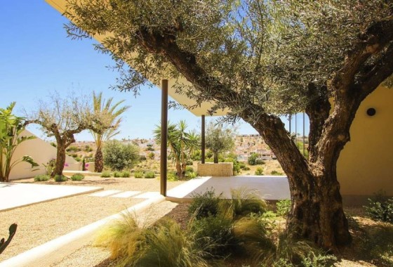 New Build - Detached Villa -
La Marina