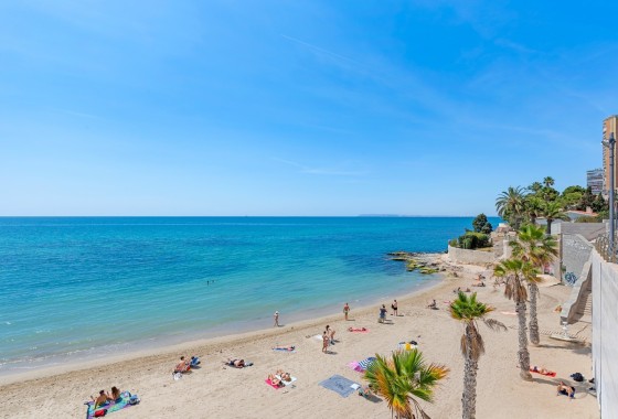 Sprzedaż - Apartament / Mieszkanie -
Alicante - Alicante (Alacant)
