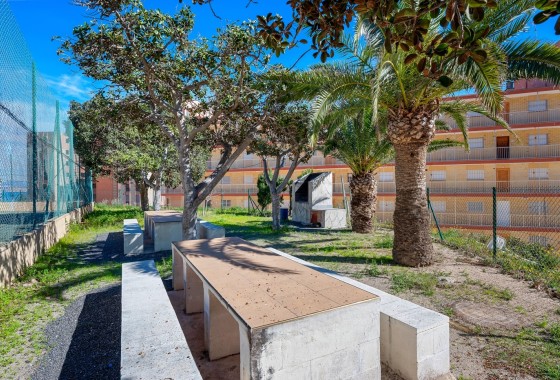 Sprzedaż - Apartament / Mieszkanie -
Arenales del Sol - Segunda linea playa