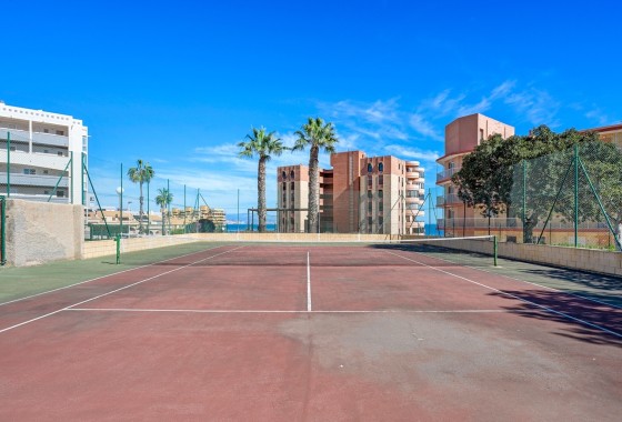 Sprzedaż - Apartament / Mieszkanie -
Arenales del Sol - Segunda linea playa