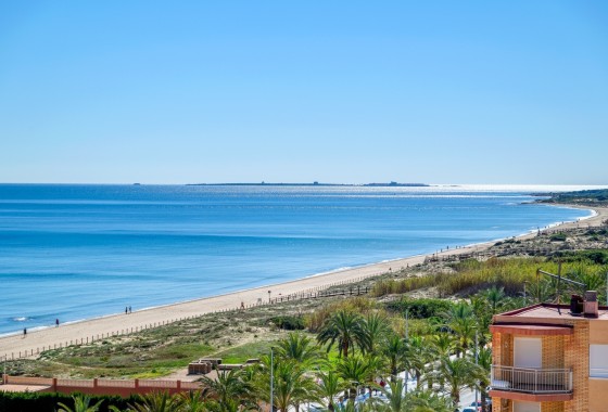 Sprzedaż - Apartament / Mieszkanie -
Arenales del Sol - Segunda linea playa