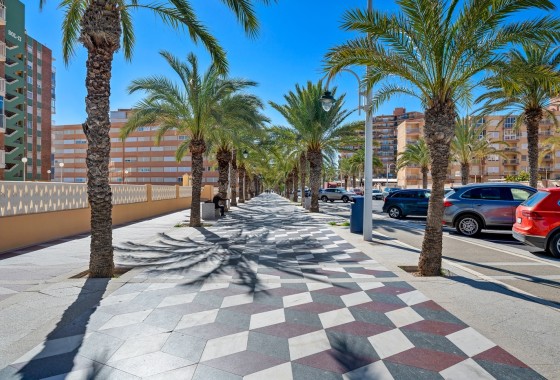 Sprzedaż - Apartament / Mieszkanie -
Arenales del Sol - Segunda linea playa