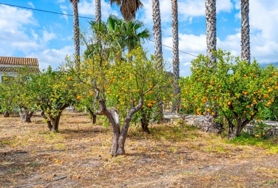 Revente - Finca / Propriété rurale -
La Nucía