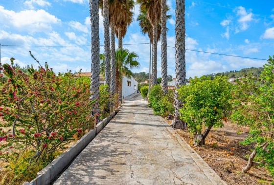 Revente - Finca / Propriété rurale -
La Nucía