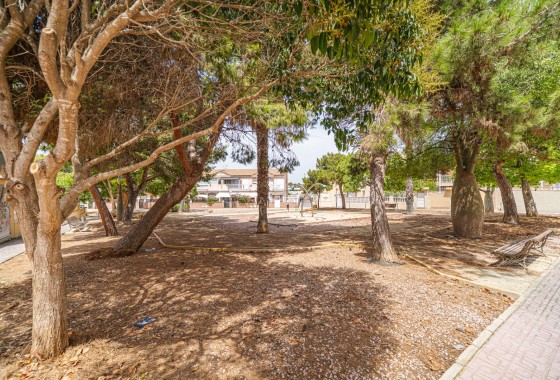Wiederverkauf - Wohnung / Apartment -
Torrevieja