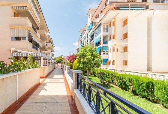 Location longue durée - Appartement -
Torrevieja - La Mata