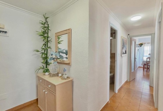 Revente - Appartement -
Torrevieja