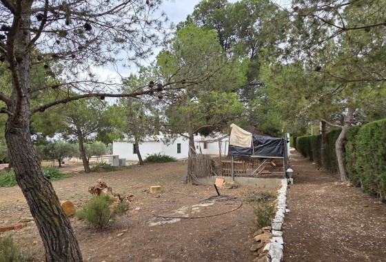 Herverkoop - Finca / Landhuis -
Pinoso