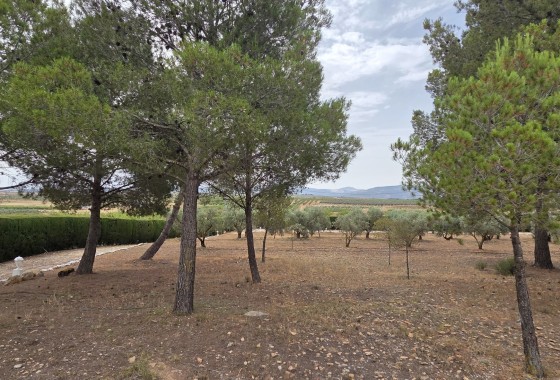 Herverkoop - Finca / Landhuis -
Pinoso