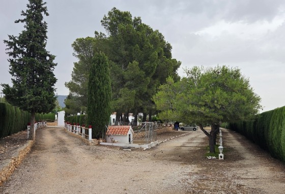 Herverkoop - Finca / Landhuis -
Pinoso