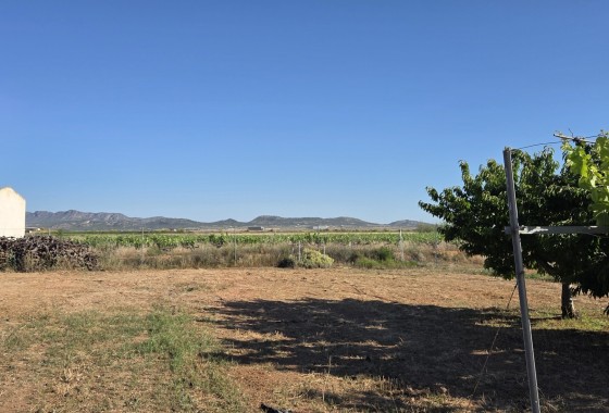 Herverkoop - Finca / Landhuis -
Yecla