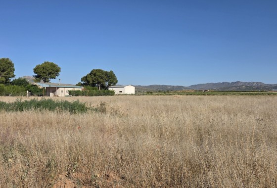 Herverkoop - Finca / Landhuis -
Yecla