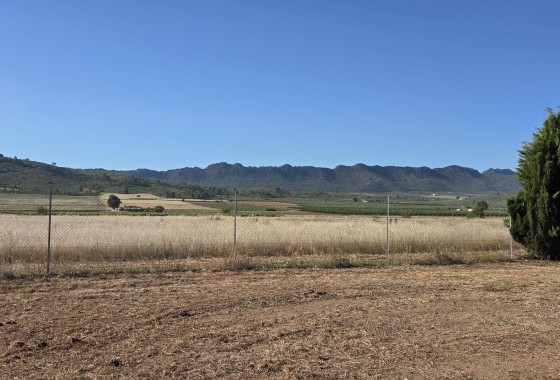 Herverkoop - Finca / Landhuis -
Yecla