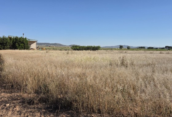 Herverkoop - Finca / Landhuis -
Yecla