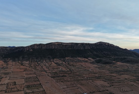 Herverkoop -  -
Jumilla