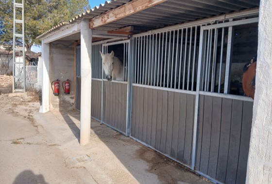 Venta -  -
Monóvar